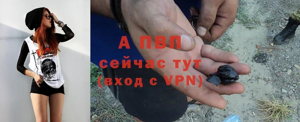 mdpv Каменка