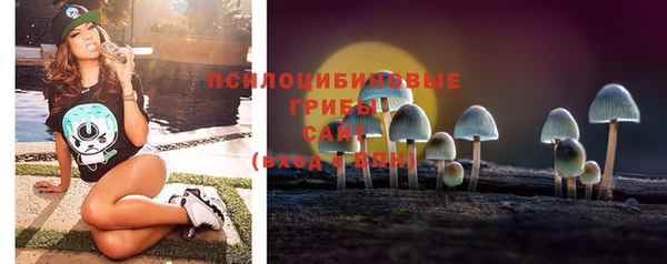 mdpv Каменка