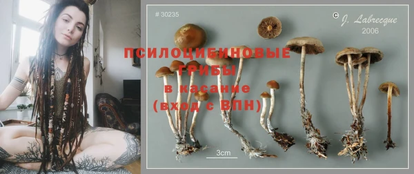 mdpv Каменка