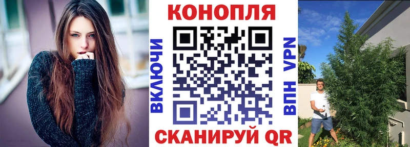 Купить где  Горнозаводск  Каннабис MAZAR 